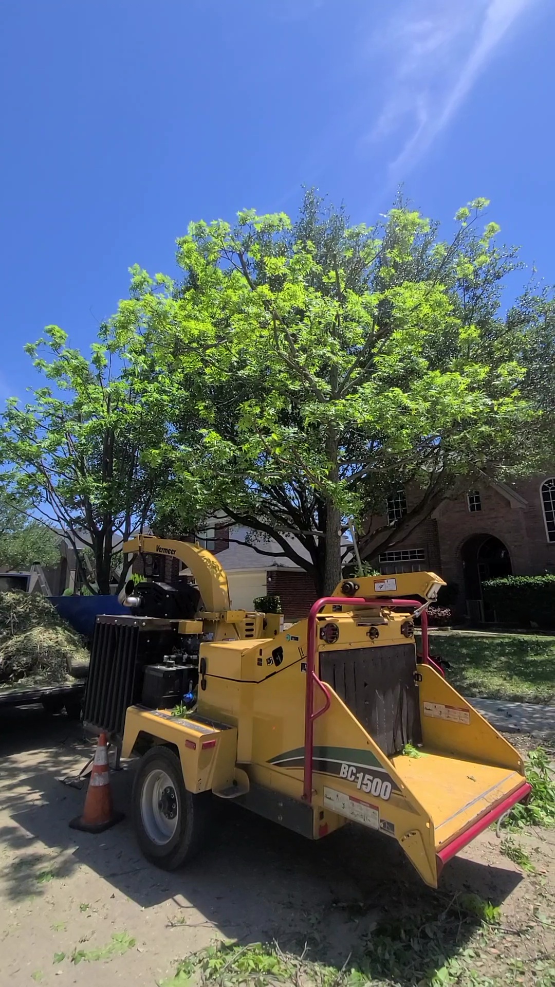 Tree Removal Greensboro